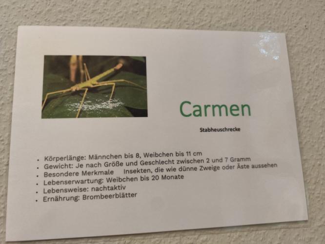 img_20251010_wa0010_medium.jpg img_20251010_wa0010_medium.jpg