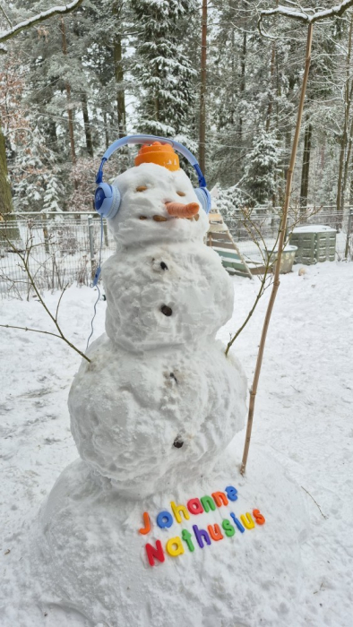 schneemann.jpg